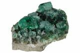 Fluorite Crystal Cluster - Rogerley Mine #143048-1
